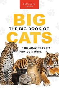 Cover image for The Big Book of Big Cats