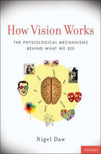 Cover image for How Vision Works: The Physiological Mechanisms Behind What We See