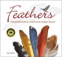 Cover image for Feathers: A Beautiful Look at a Bird's Most Unique Feature