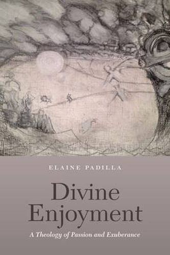 Cover image for Divine Enjoyment: A Theology of Passion and Exuberance