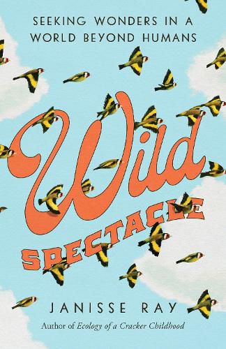 Cover image for Wild Spectacle: Seeking Wonders in a World beyond Humans