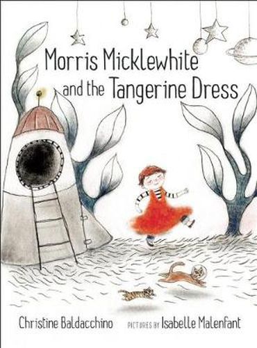 Cover image for Morris Micklewhite and the Tangerine Dress