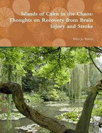 Cover image for Islands of Calm in the Chaos: Thoughts on Recovery from Brain Injury and Stroke