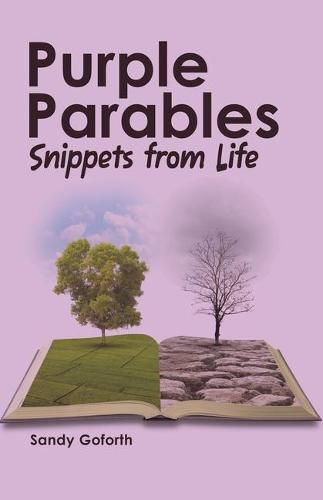 Cover image for Purple Parables: Snippets from Life