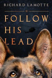 Cover image for Follow His Lead