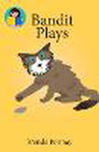 Cover image for Bandit Plays