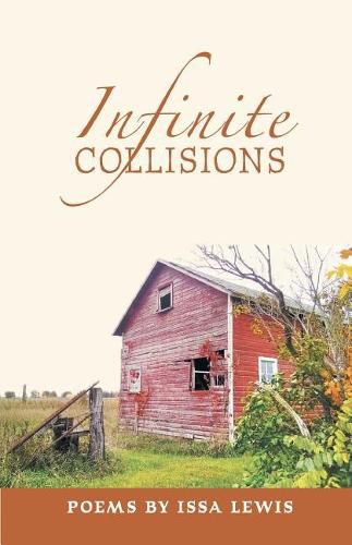 Cover image for Infinite Collisions