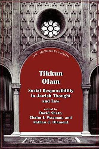 Cover image for Tikkun Olam: Social Responsibility in Jewish Thought and Law