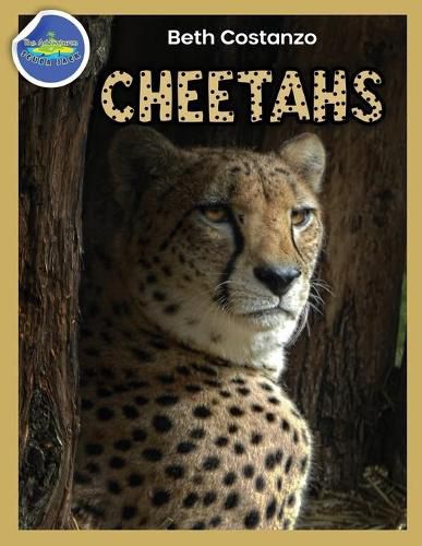 Cover image for Cheetah Activity Workbook ages 4-8