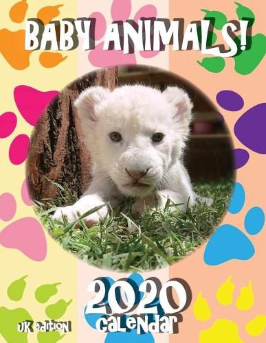 Cover image for Baby Animals! 2020 Calendar (UK Edition)