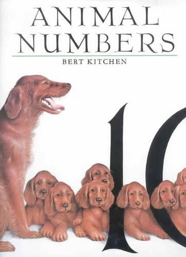 Cover image for Animal Numbers
