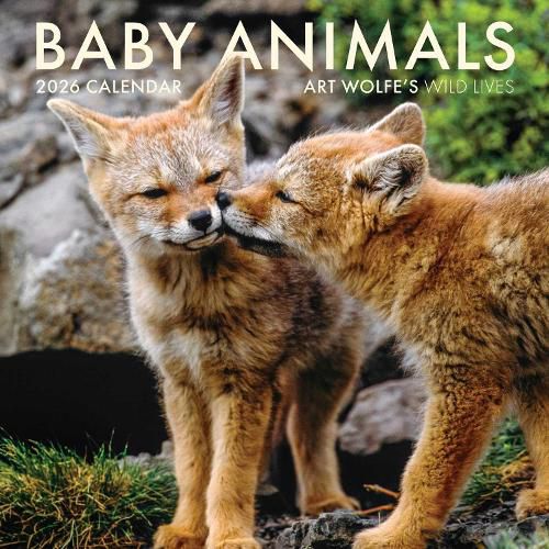 Cover image for 2026 Baby Animals Wall Calendar