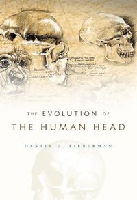 Cover image for The Evolution of the Human Head