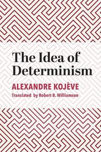 Cover image for The Idea of Determinism