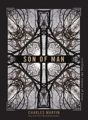 Cover image for Son of Man: Retelling the Stories of Jesus