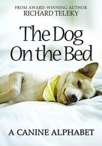 Cover image for The Dog on the Bed: A Canine Alphabet