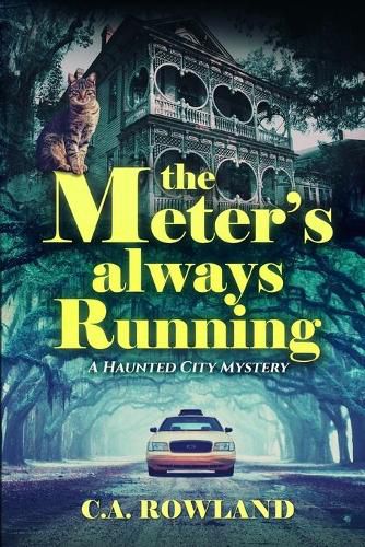 Cover image for The Meter's Always Running: A Haunted City Mystery