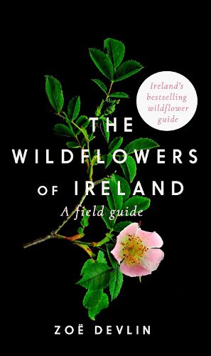 Cover image for The Wildflowers of Ireland: A Field Guide