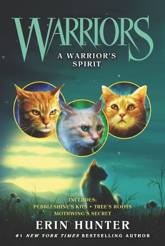 Cover image for Warriors: A Warrior's Spirit