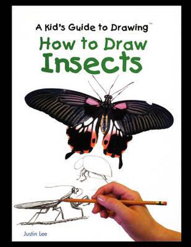 Cover image for How to Draw Insects