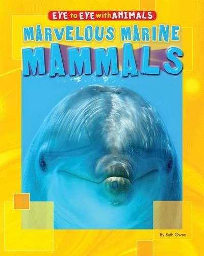 Cover image for Marvelous Marine Mammals