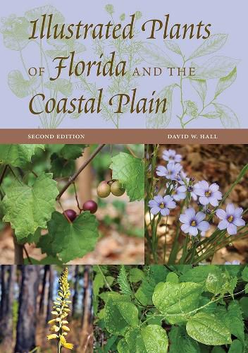Cover image for Illustrated Plants of Florida and the Coastal Plain