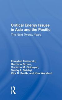 Cover image for Critical Energy Issues in Asia and the Pacific: The Next Twenty Years