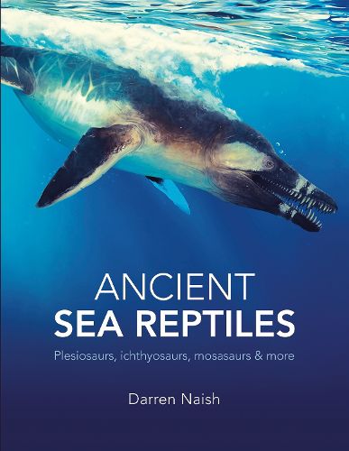 Cover image for Ancient Sea Reptiles