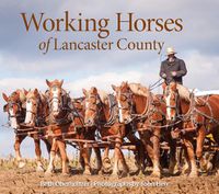 Cover image for Working Horses of Lancaster County