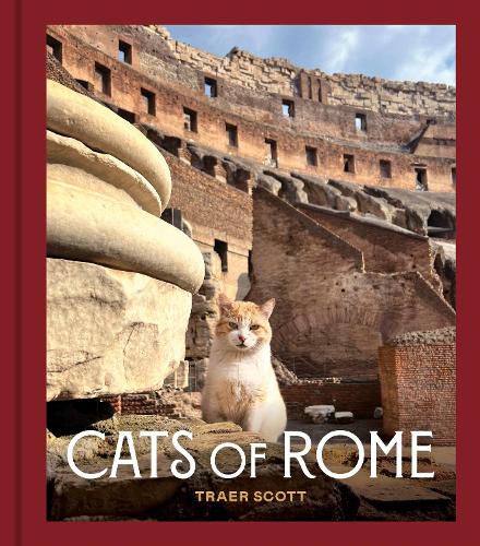 Cover image for Cats of Rome