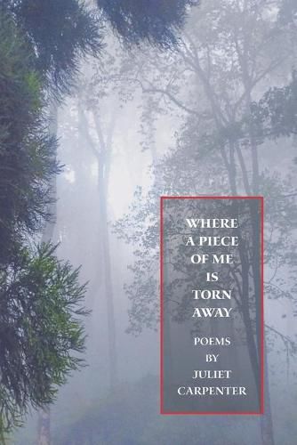 Cover image for Where a Piece of Me is Torn Away