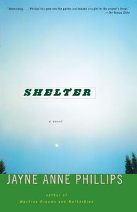 Cover image for Shelter: A Novel