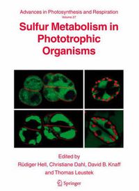 Cover image for Sulfur Metabolism in Phototrophic Organisms