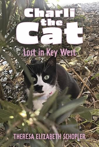 Cover image for Charli the Cat, Lost in Key West