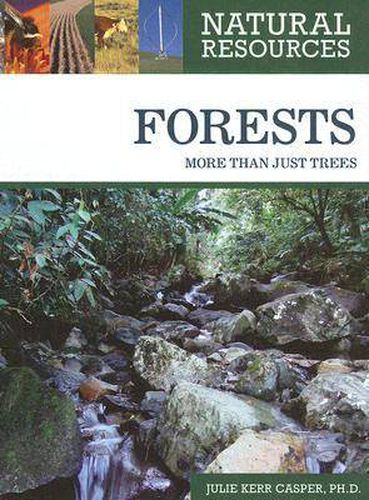 Cover image for Forests