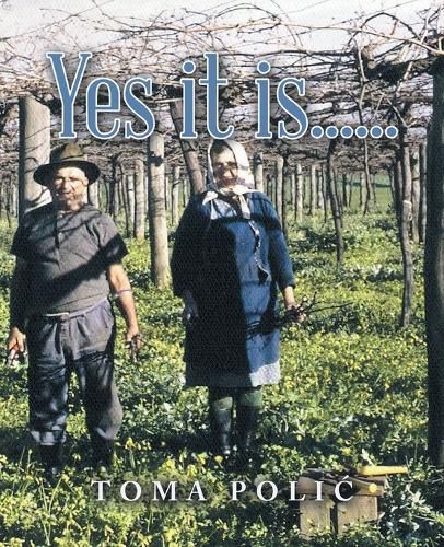 Cover image for Yes it is......