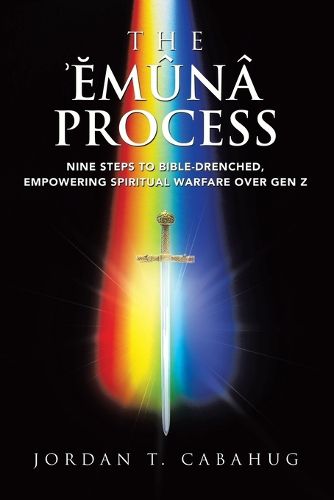 Cover image for The Emuna Process