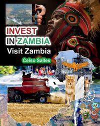 Cover image for INVEST IN ZAMBIA - Visit Zambia - Celso Salles