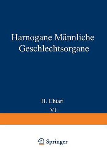 Harnorgane Mannliche Geschlechtsorgane