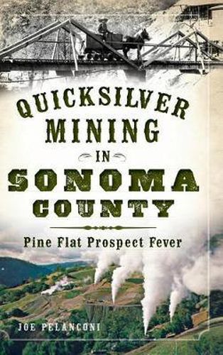 Cover image for Quicksilver Mining in Sonoma County: Pine Flat Prospect Fever