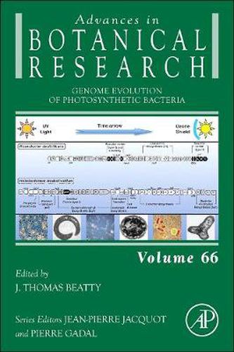 Cover image for Genome Evolution of Photosynthetic Bacteria