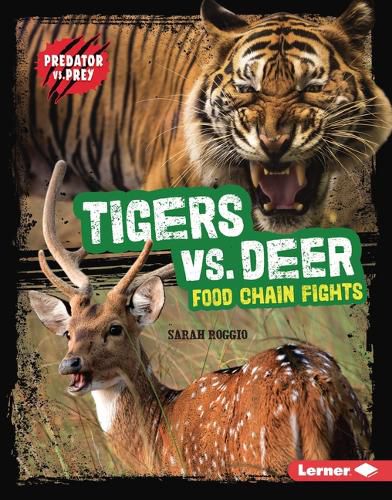 Tigers vs. Deer