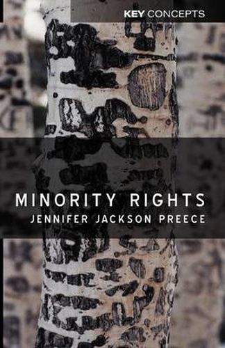 Cover image for Minority Rights: Between Diversity and Community