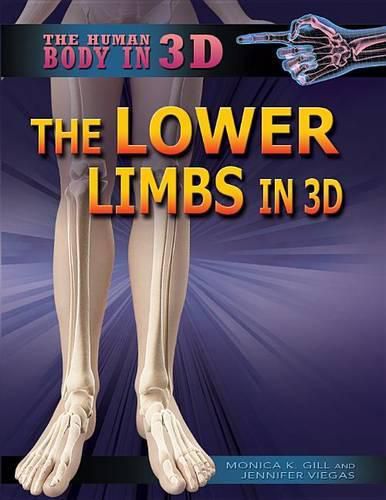 The Lower Limbs in 3D