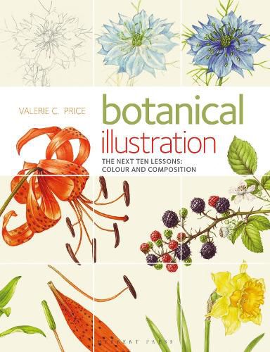 Cover image for Botanical Illustration: The Next Ten Lessons: Colour and Composition