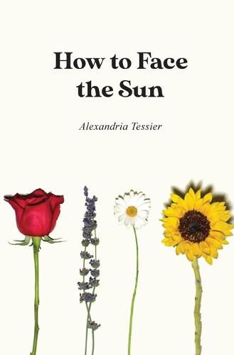 Cover image for How to Face the Sun