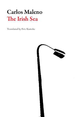 Cover image for The Irish Sea