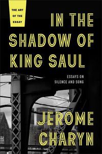 Cover image for In the Shadow of King Saul: Essays on Silence and Song