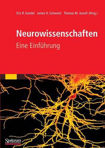 Neurowissenschaften: Eine Einfuhrung