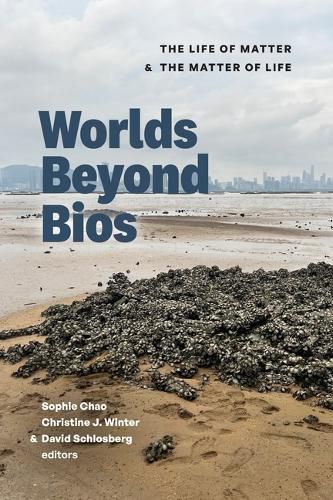 Cover image for Worlds Beyond Bios